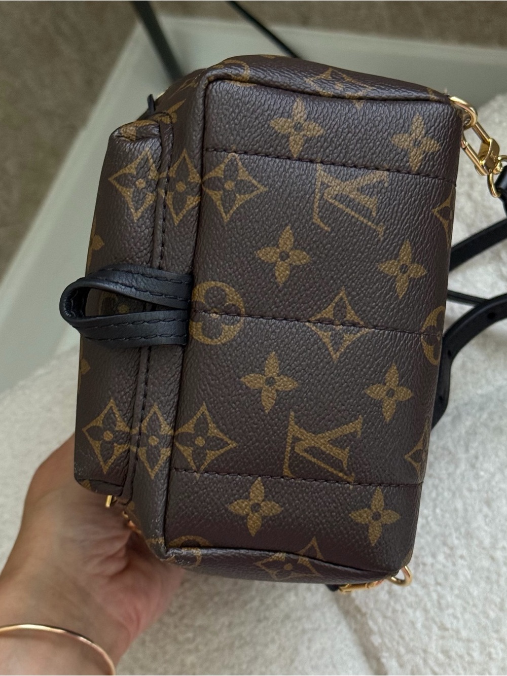 Louis Vuitton Palm Springs Mini Monogram Backpack - Picture 11 of 12